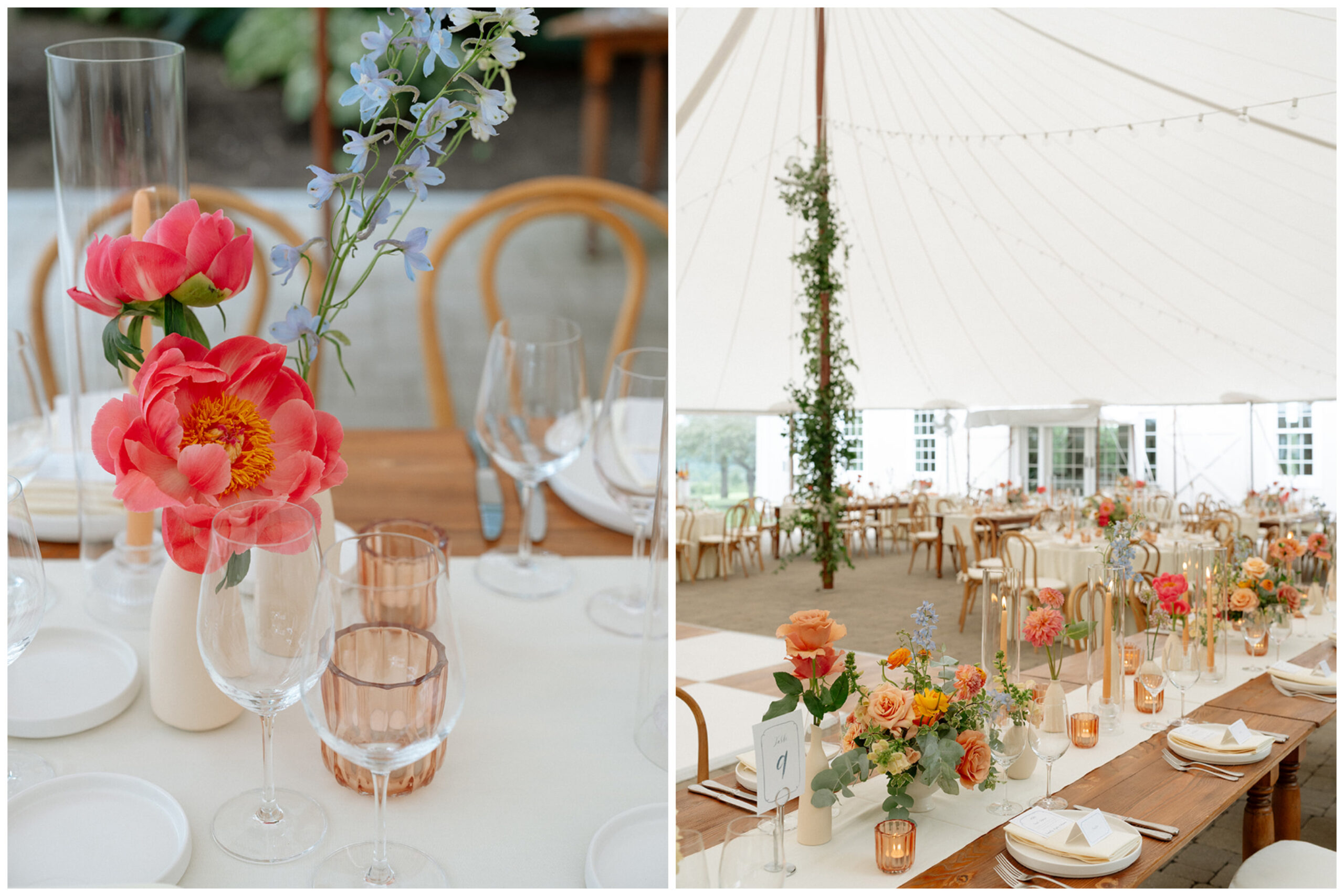 Table scape
